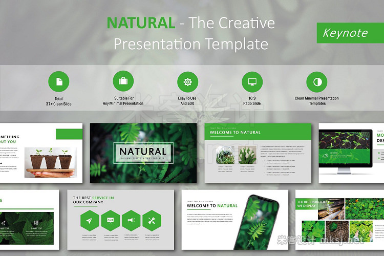 keynote模板 Natural Creative Keynote Template