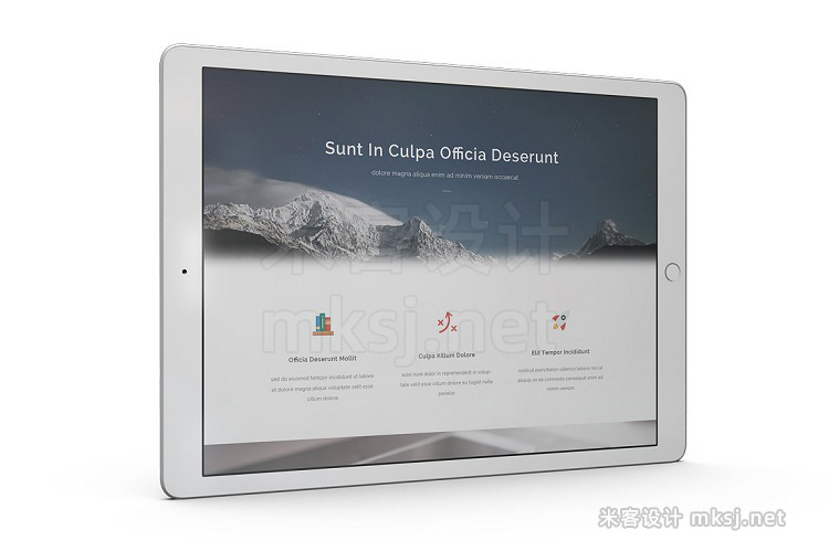 VI贴图 iPad 12.9 屏幕平板电脑屏幕WEB展示PS模型mockup样机