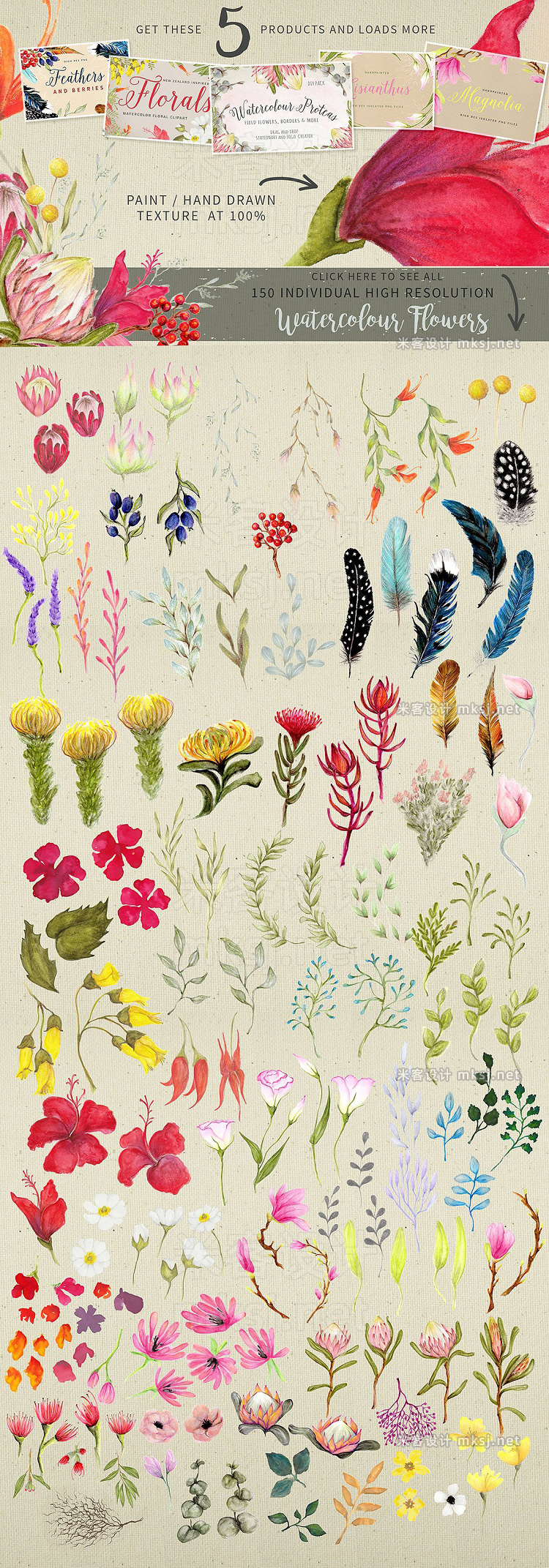 png素材 Watercolor Floral Bundle