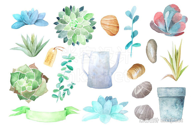 png素材 Watercolor Succulents Collection