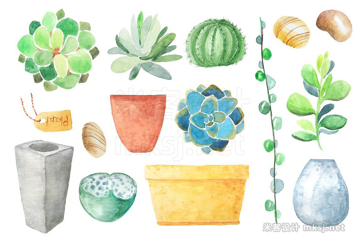 png素材 Watercolor Succulents Collection
