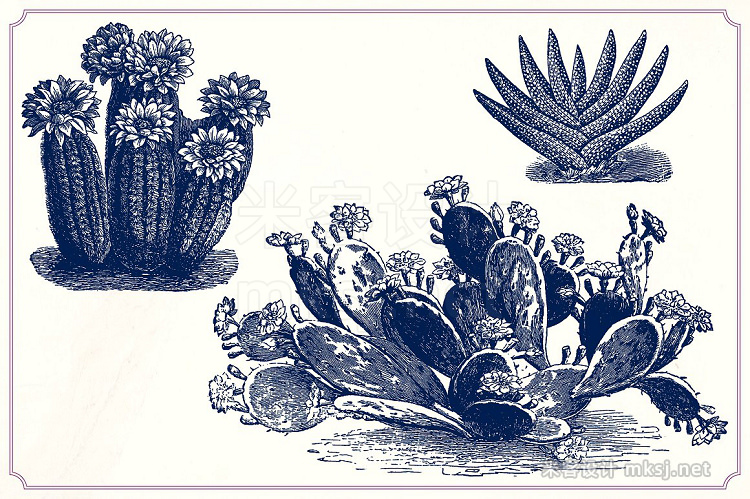 png素材 Vintage Cacti and Succulents