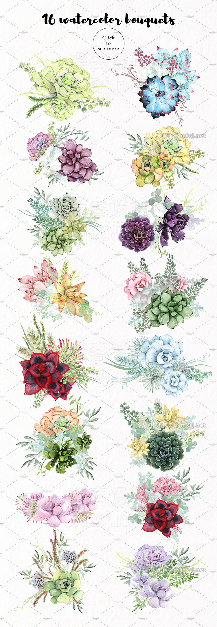 png素材 Watercolor Succulents
