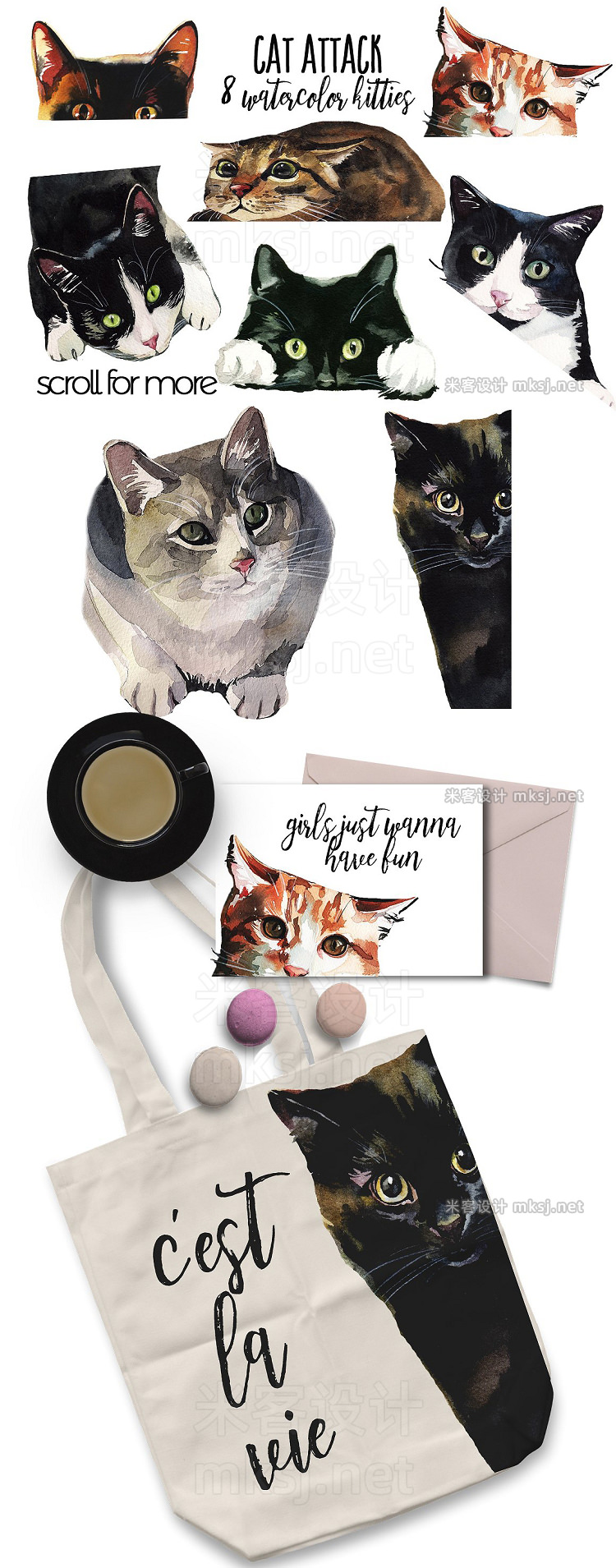 png素材 Cat Attack Watercolor PNG Collection