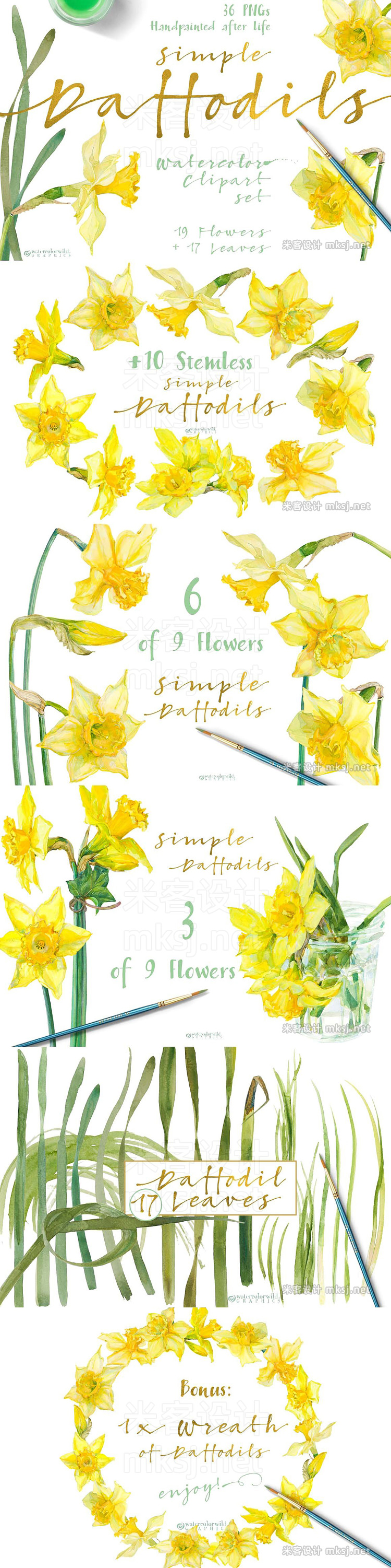 png素材 Simple Daffodils