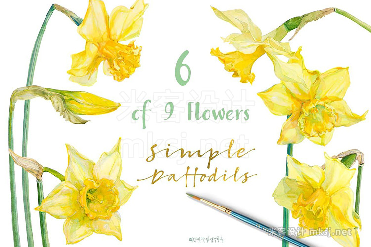 png素材 Simple Daffodils