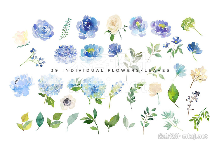 png素材 Serene - Flower Clipart Set