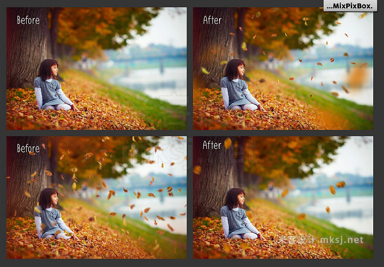 png素材 Autumn Leaves Overlays