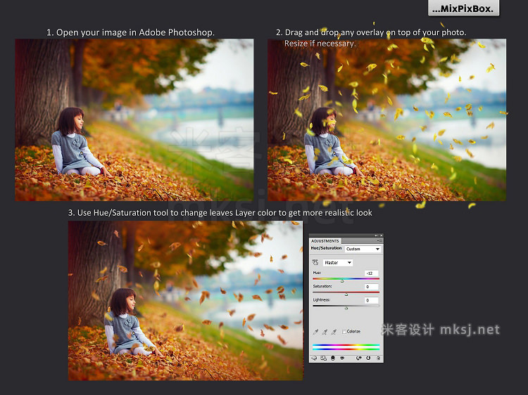 png素材 Autumn Leaves Overlays