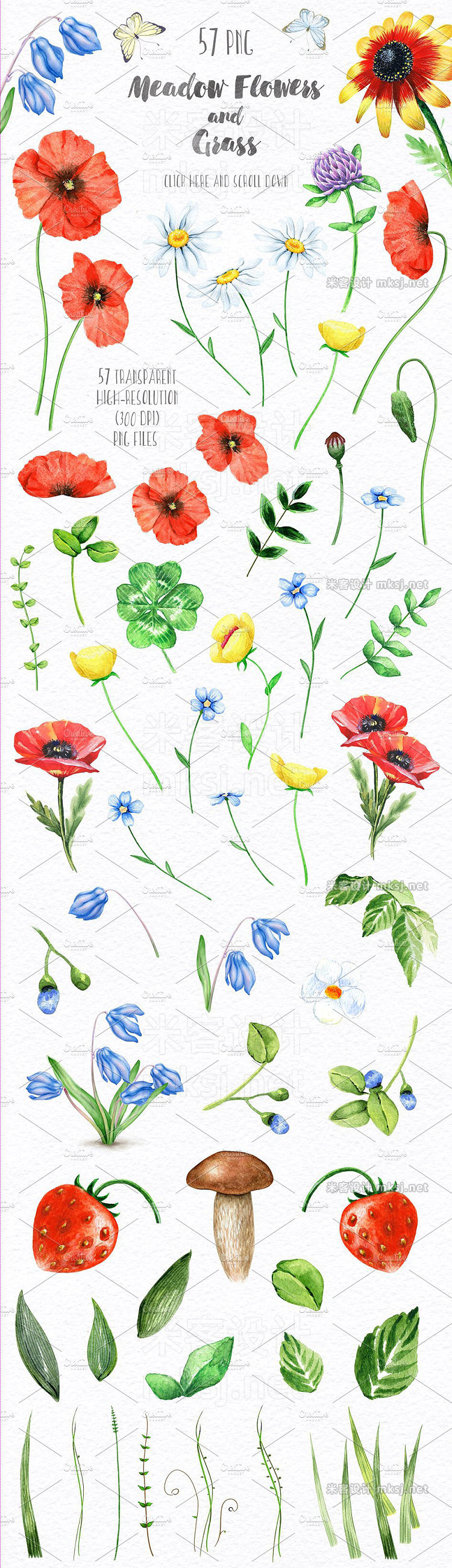 png素材 Floral set Over 115 PNG