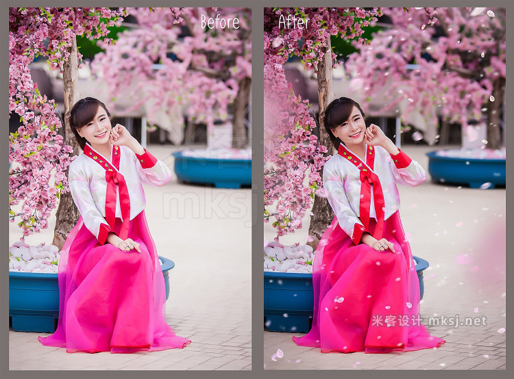 png素材 White and Pink Petals Overlays