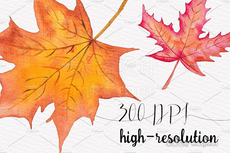 png素材 Autumn Leaves Watercolor clipart