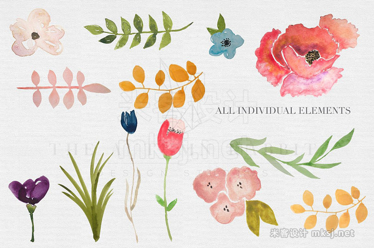 png素材 Watercolor Flower Clipart Set
