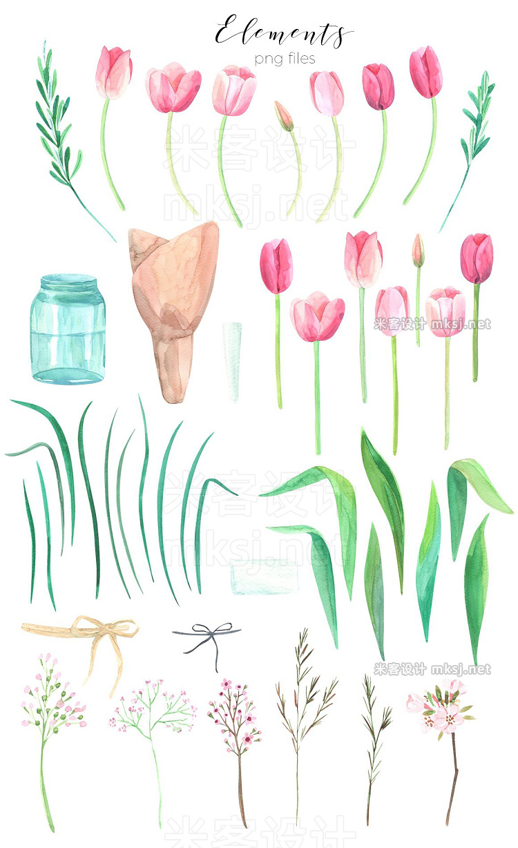 png素材 Tulip blossom Watercolor clip art