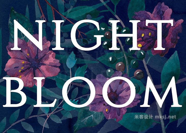 png素材 Night bloom