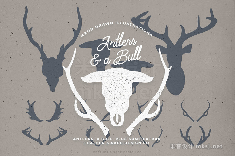 png素材 Antlers a Bull Illustrations