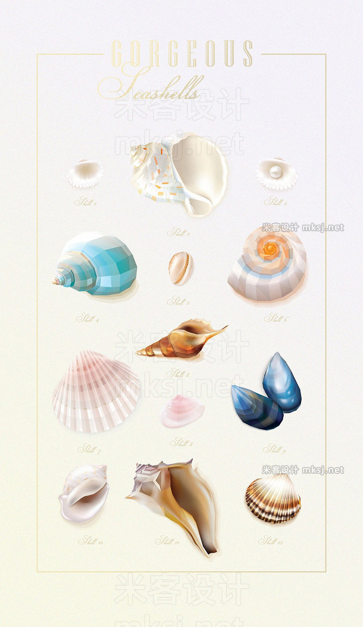 png素材 Gorgeous Seashells