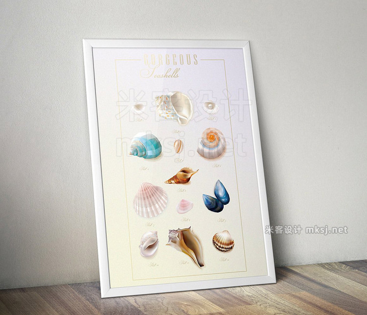 png素材 Gorgeous Seashells