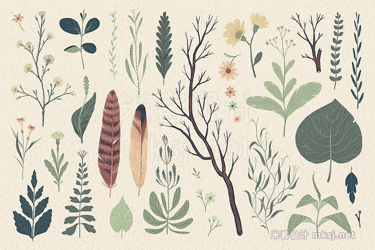 png素材 Natura graphic elements pack