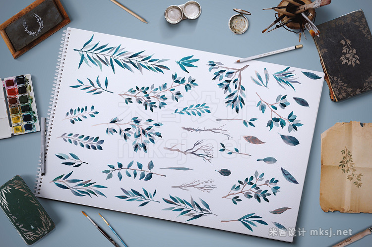 png素材 FoliageWatercolor leaves collection