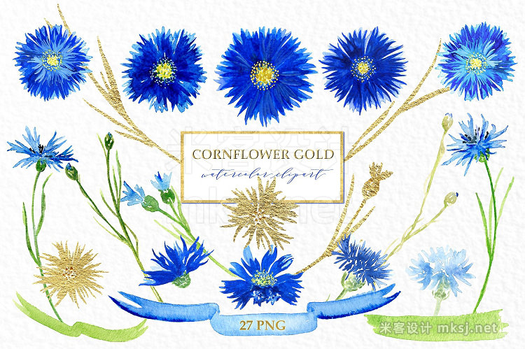 png素材 Cornflower gold Watercolor clipart