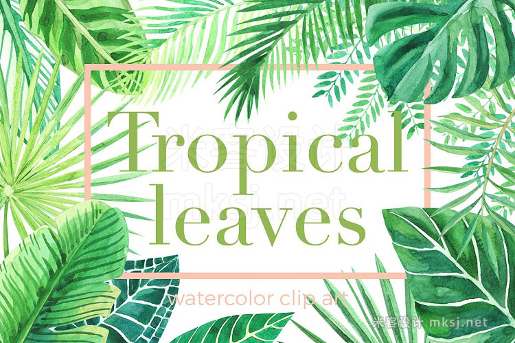 png素材 Tropical leaves Watercolor clip art
