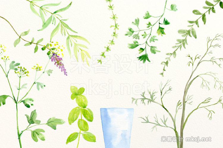 png素材 Watercolor Herb Collection