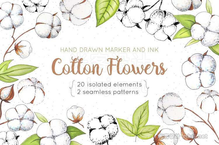 png素材 Cotton Flowers Handdrawn Set