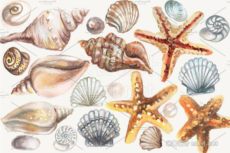 png素材 Watercolor Seashels