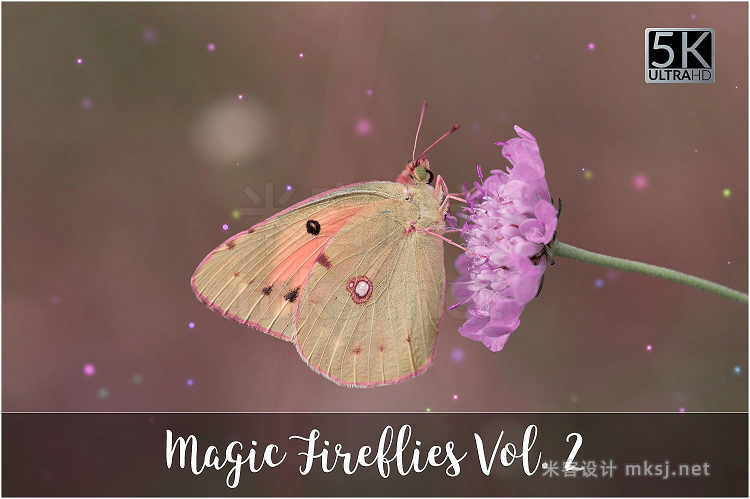 png素材 5K Magic Fireflies Vol 2