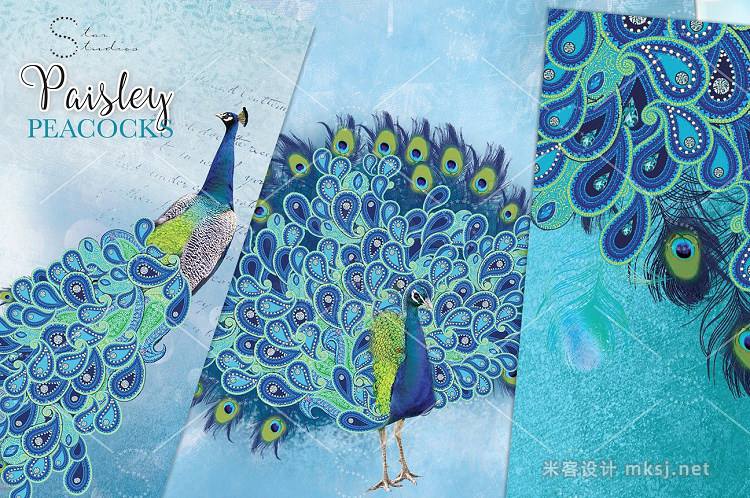 png素材 Paisley Peacocks Pack