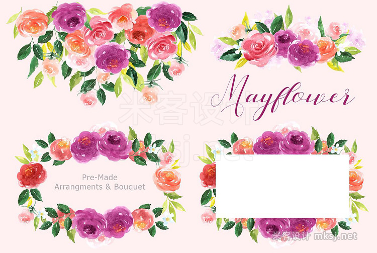 png素材 Mayflower Floral Watercolor clipart