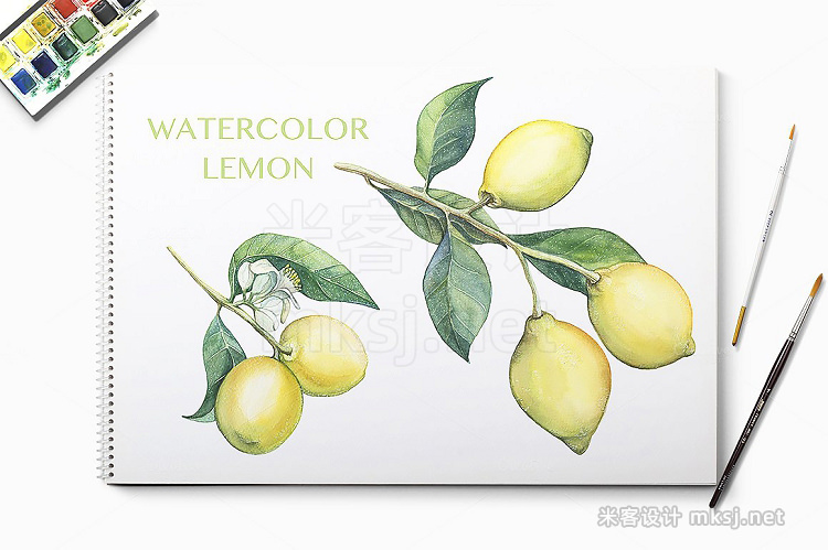 png素材 Watercolor lemon branches