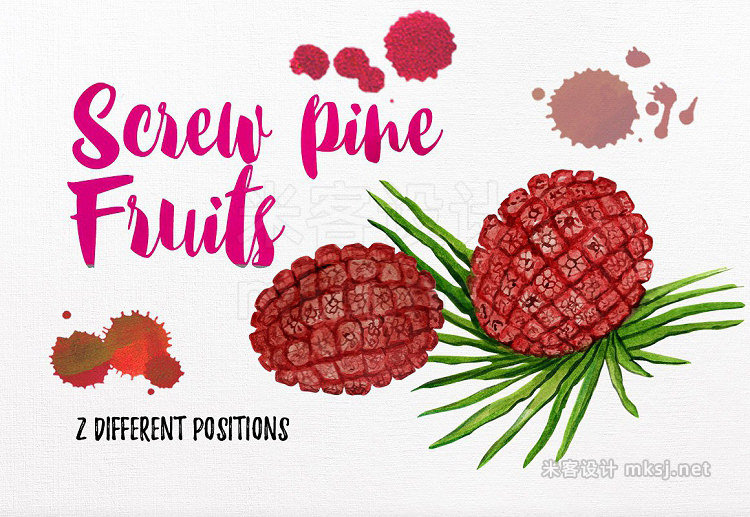 png素材 watercolor fruit vol7