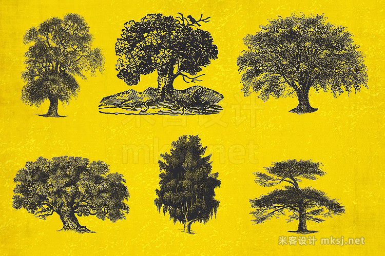 png素材 37 Vintage Tree Illustrations