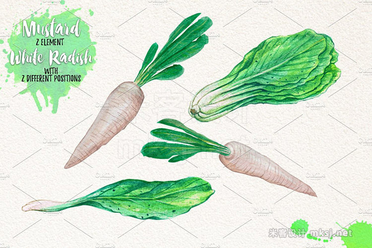 png素材 Watercolor Vegetables Herbs Green