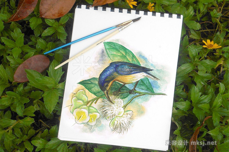png素材 watercolor birds