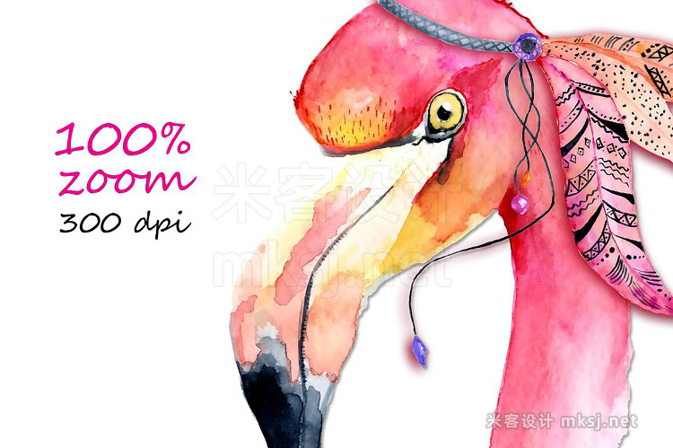 png素材 Boho flamingo Watercolor set