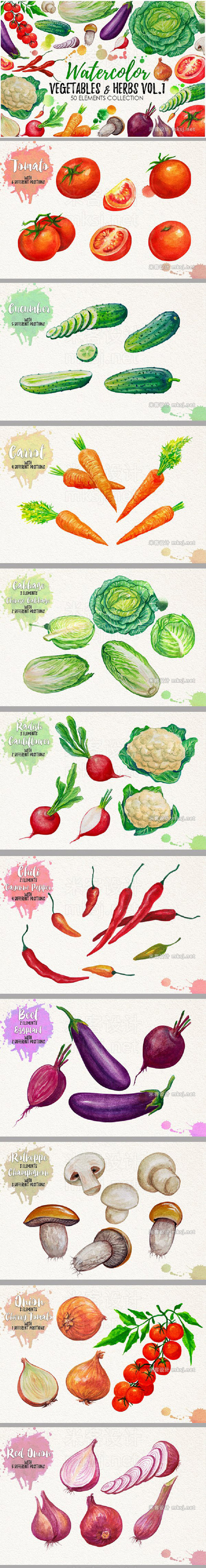 png素材 Watercolor Vegetables Herbs