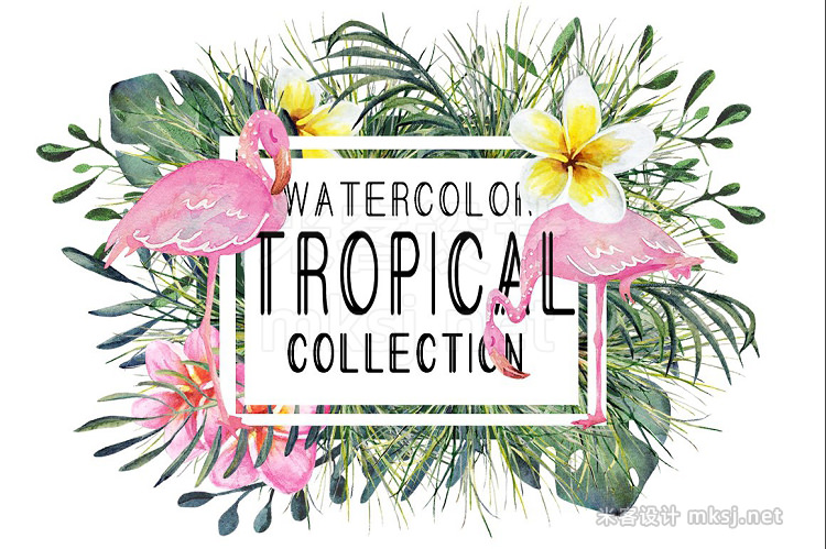 png素材 watercolor tropical set