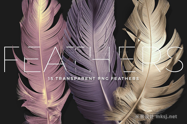 png素材 Transparent PNG Feathers Pack