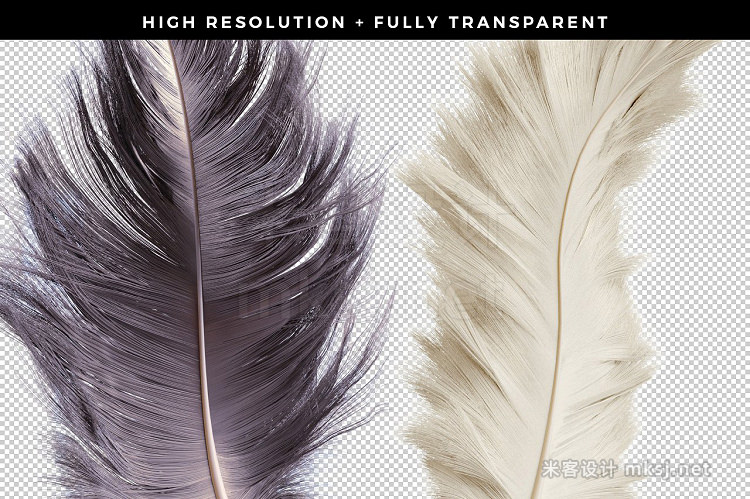 png素材 Transparent PNG Feathers Pack