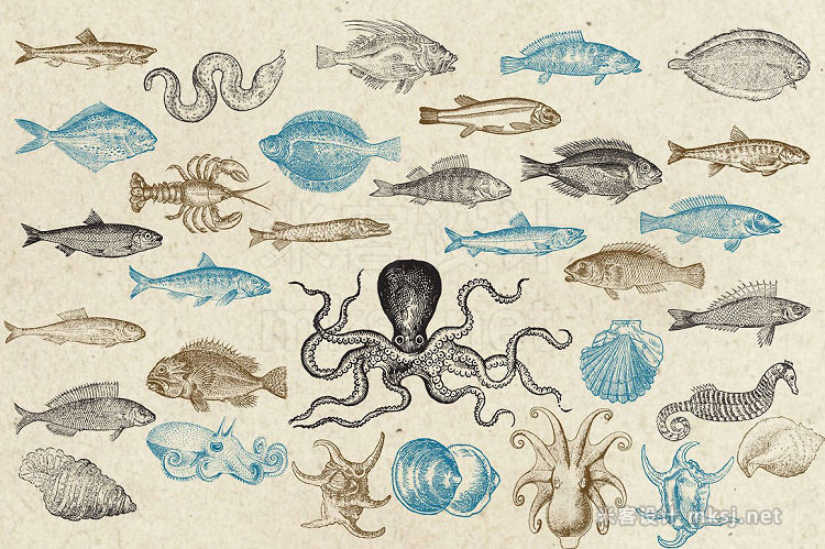 png素材 Antique Sea Creatures Monsters