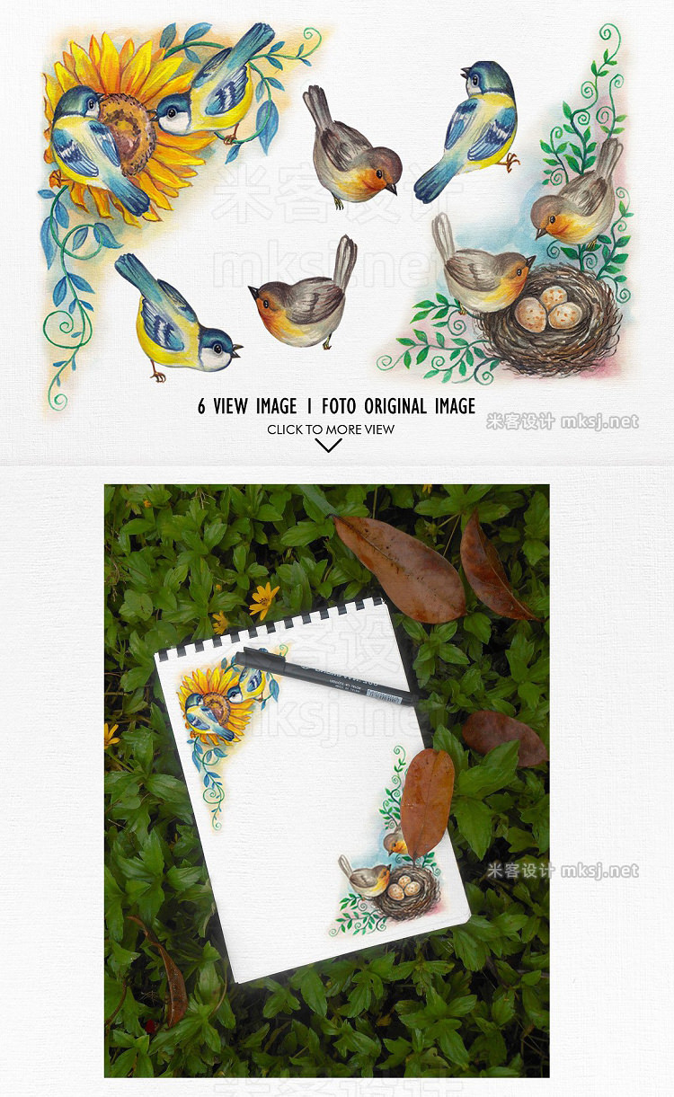 png素材 watercolor birds vol2