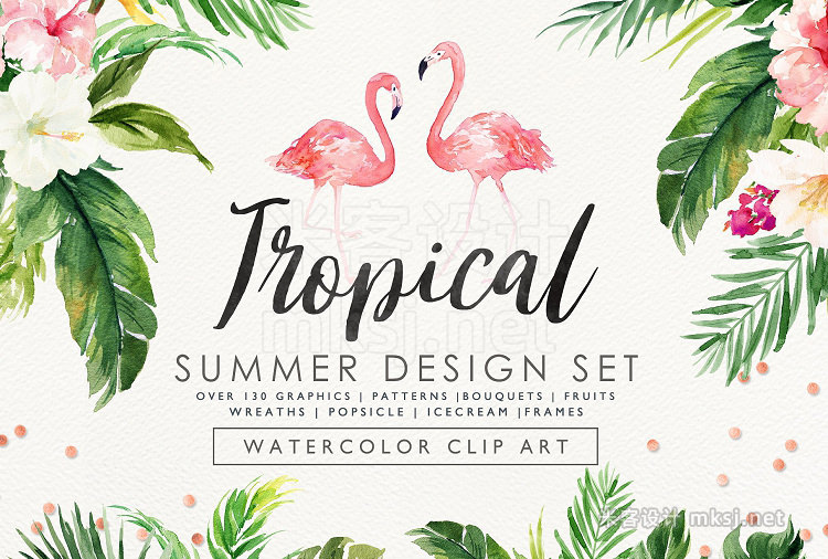 png素材 Summer Design Set-Tropical