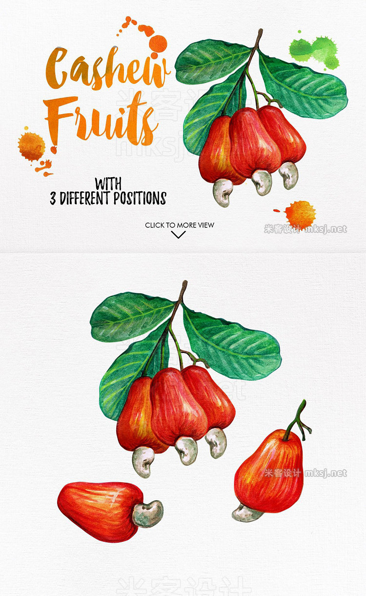 png素材 watercolor fruits vol 6