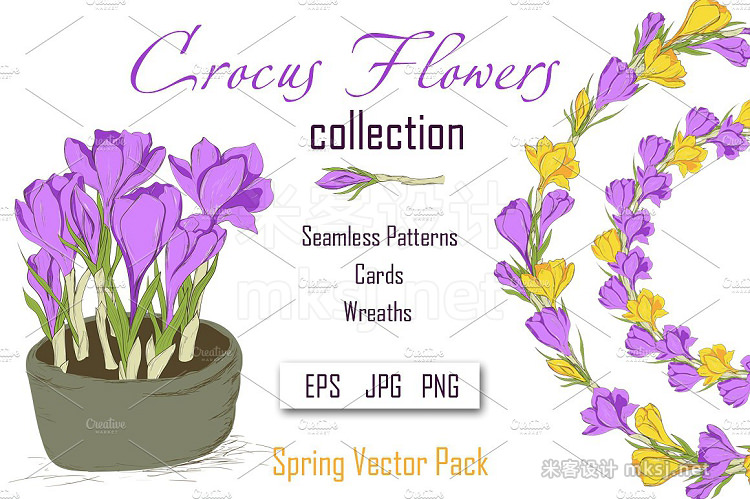 png素材 Crocus Spring Flowers collection