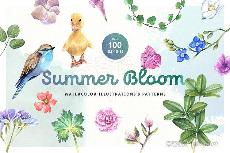 png素材 Summer Bloom Watercolor Set