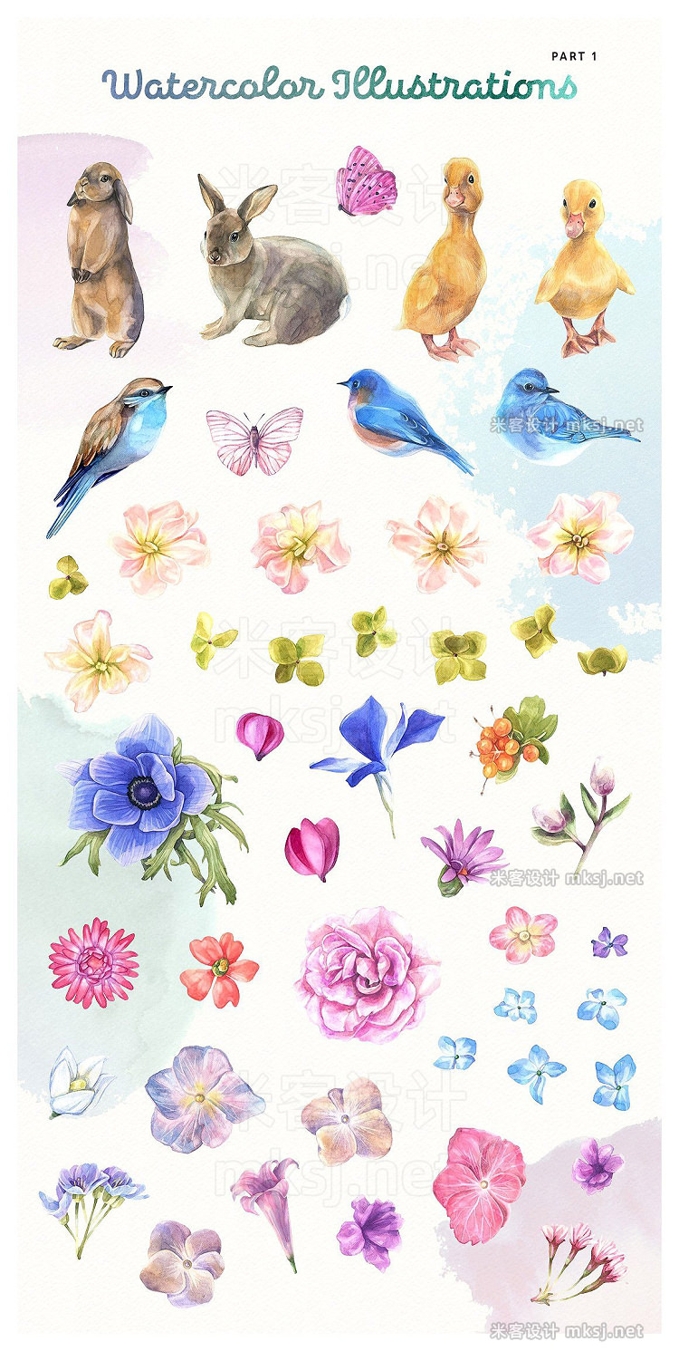 png素材 Summer Bloom Watercolor Set