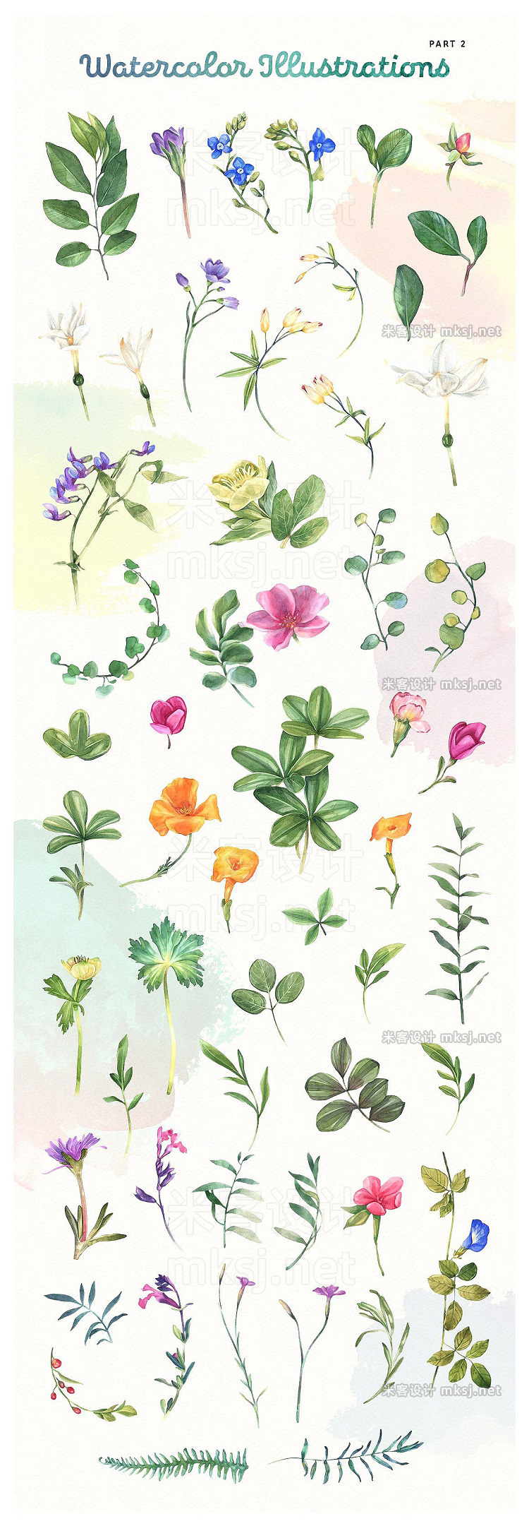 png素材 Summer Bloom Watercolor Set